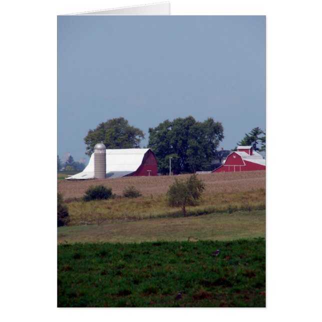 Red Barns (Front)
