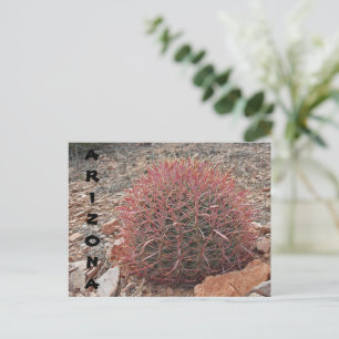 Red Barrel Cactus Desert Plant Arizona Greeting Postcard