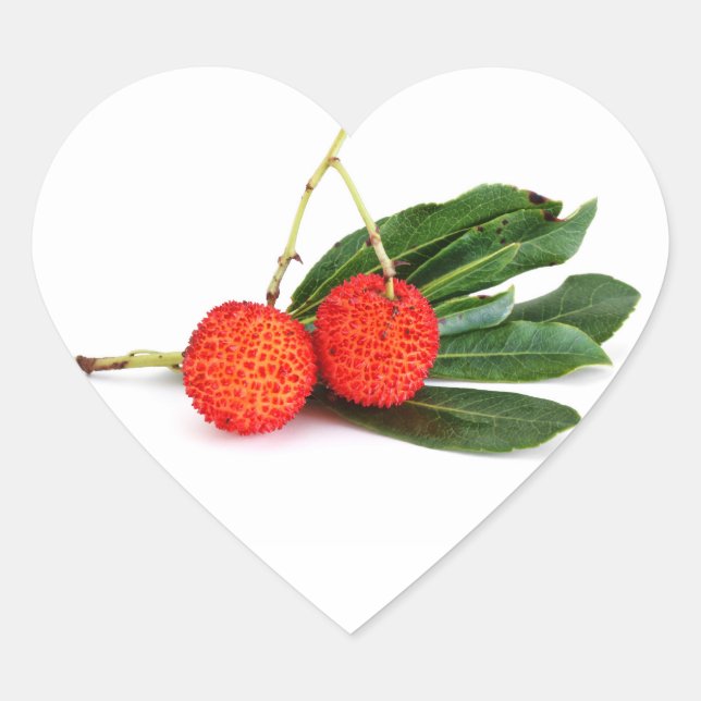 red bayberry heart sticker (Front)