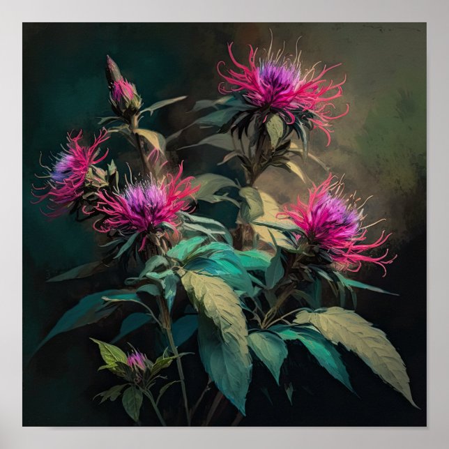 Red Bee Balm Flower Art Print Poster (Front)