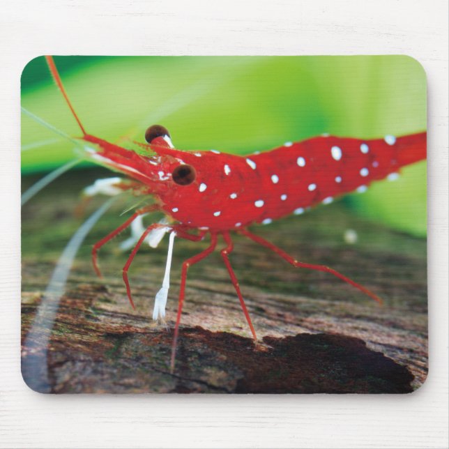 Red Bee Shrimps Mouse Pad (Front)