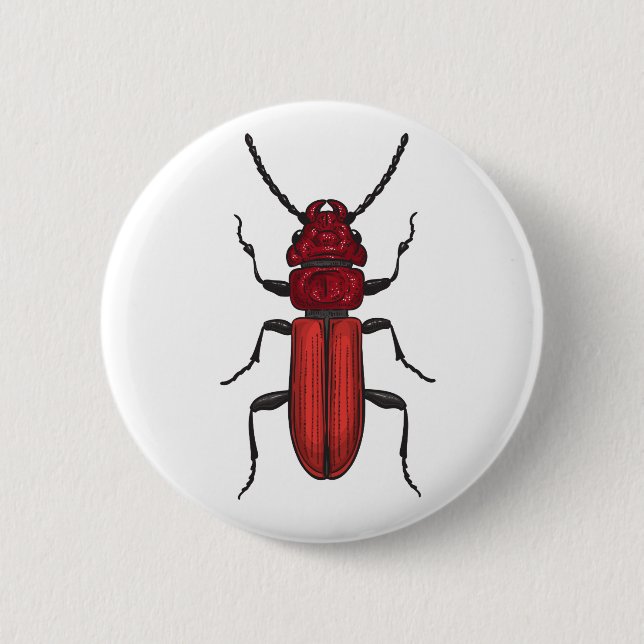 Red beetle 6 cm round badge (Front)