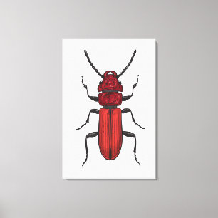 Red beetle canvas print