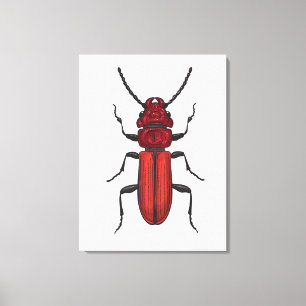 Red beetle canvas print