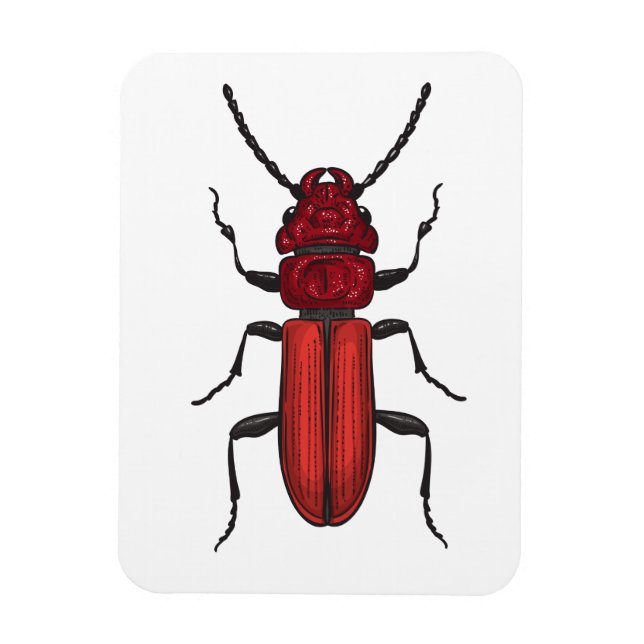 Red beetle magnet (Vertical)