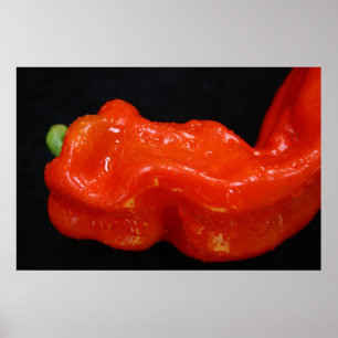 Red Bell Pepper Poster