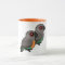 Red-bellied Parrot Pair