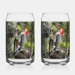 Red Bellied Woodpecker Can Glass