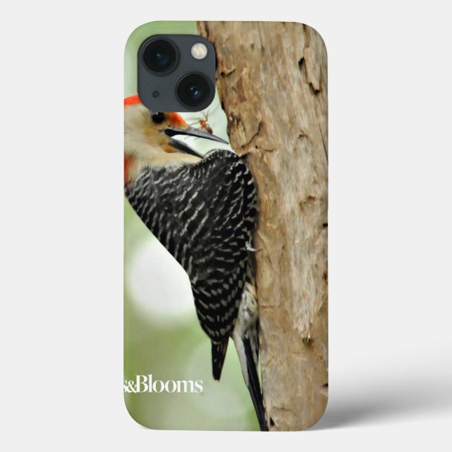 Red-Bellied Woodpecker Case-Mate iPhone Case (Back)