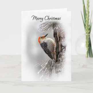 Red-Bellied Woodpecker Christmas Card