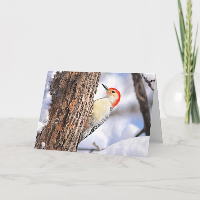 Red-bellied Woodpecker Christmas Card (Front)
