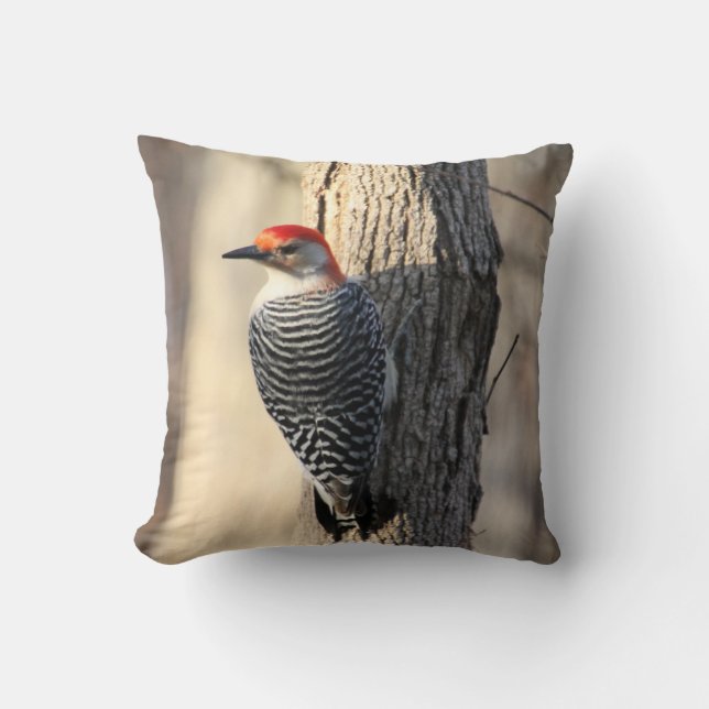 Red Bellied Woodpecker Cushion (Front)