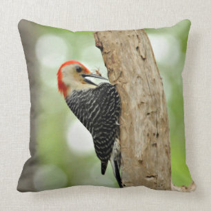 Red-Bellied Woodpecker Cushion