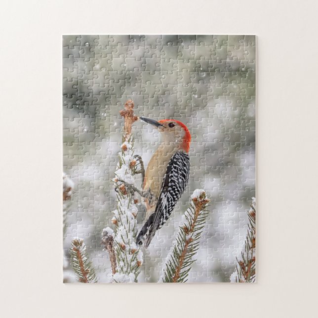Red-bellied Woodpecker in the snow Jigsaw Puzzle (Vertical)