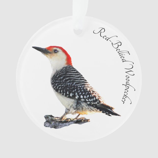 Red-Bellied Woodpecker Ornament (Front)