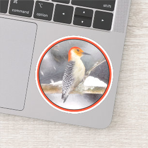 Red-Bellied Woodpecker Painting Original Bird Art