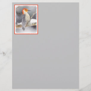 Red-Bellied Woodpecker Painting Original Bird Art