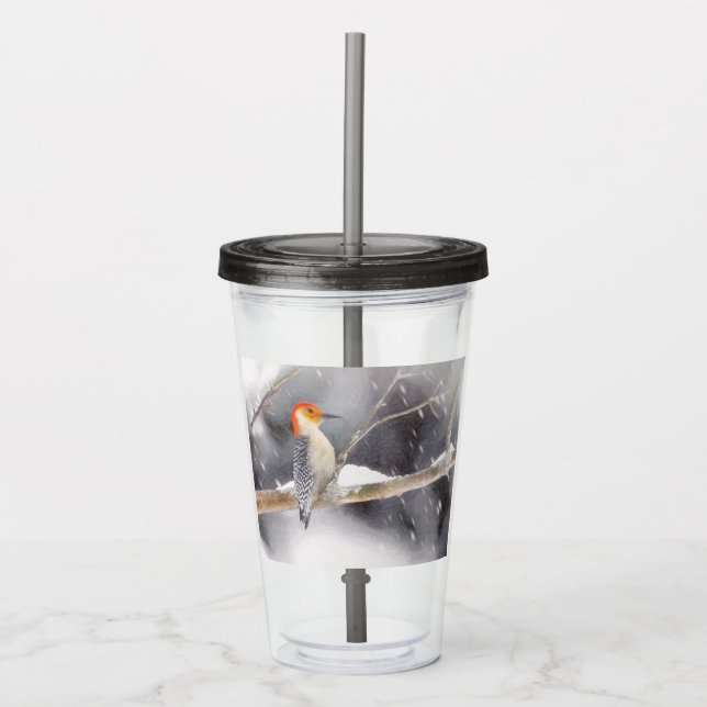 Red-Bellied Woodpecker Painting Original Bird Art Acrylic Tumbler (Front)
