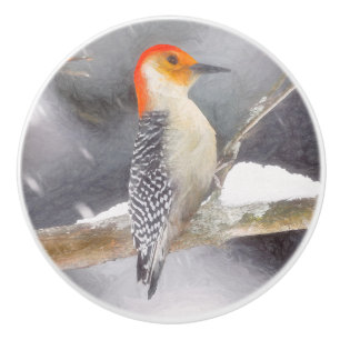 Red-Bellied Woodpecker Painting Original Bird Art Ceramic Knob