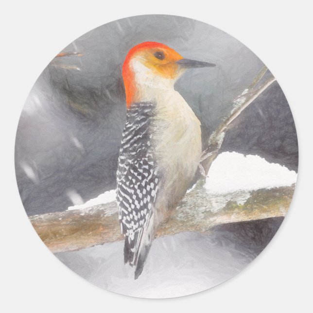 Red-Bellied Woodpecker Painting Original Bird Art Classic Round Sticker (Front)