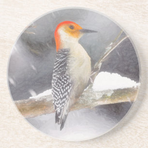 Red-Bellied Woodpecker Painting Original Bird Art Coaster