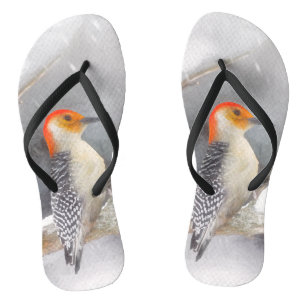 Red-Bellied Woodpecker Painting Original Bird Art Jandals