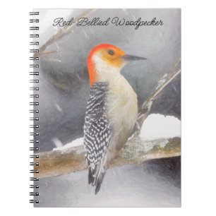 Red-Bellied Woodpecker Painting Original Bird Art Notebook