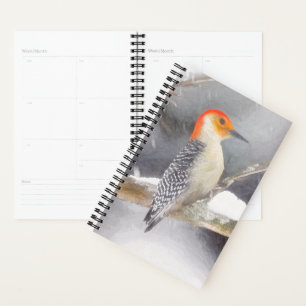 Red-Bellied Woodpecker Painting Original Bird Art Planner