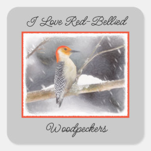 Red-Bellied Woodpecker Painting Original Bird Art Square Sticker