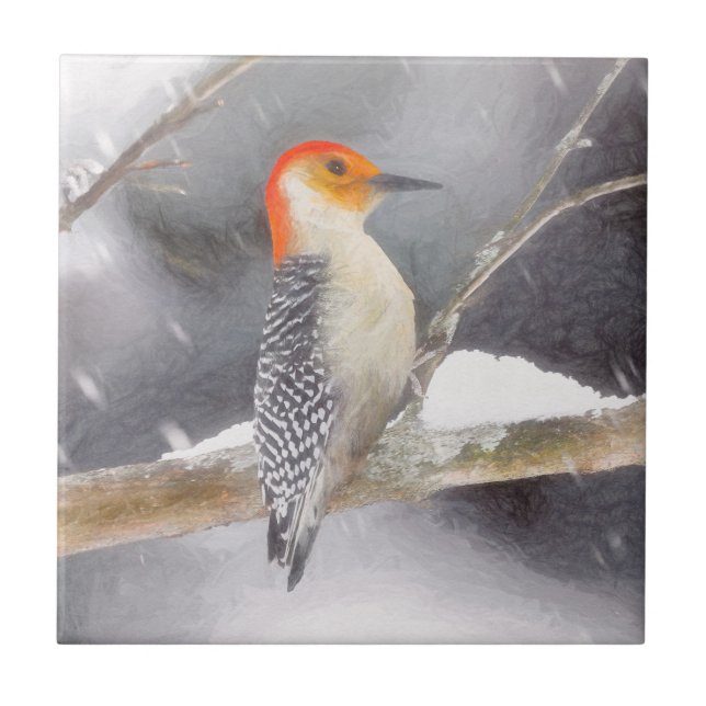 Red-Bellied Woodpecker Painting Original Bird Art Tile (Front)