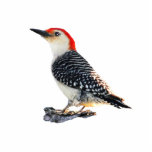 Red-Bellied Woodpecker Photo Sculpture Badge<br><div class="desc">An image of a Red-Bellied Woodpecker</div>