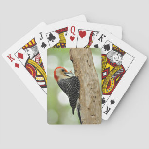 Red-Bellied Woodpecker Playing Cards