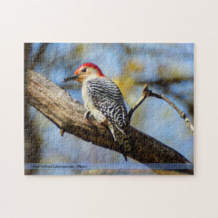 Red-Bellied Woodpecker Puzzle