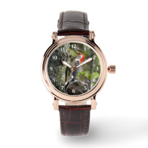 Red Bellied Woodpecker White Numbers Watch