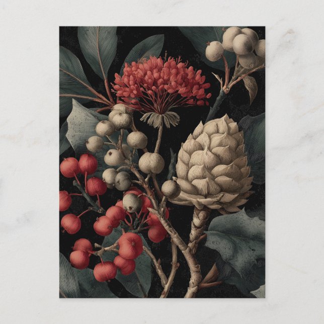 Red Berries and Exotic Seed Pods on Black Holiday Postcard (Front)
