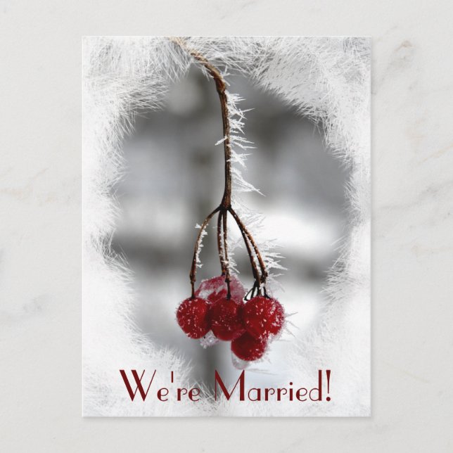 Red Berries and Frost Winter Marriage Announcement Postcard (Front)