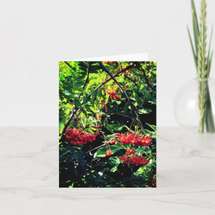 Red berries card