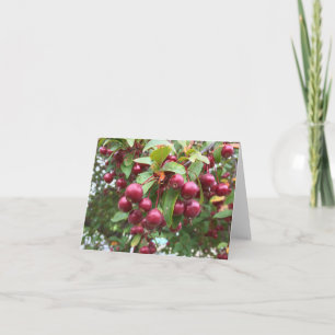 red berries card