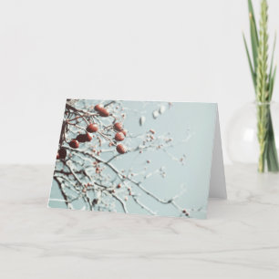 Red Berries Christmas Card