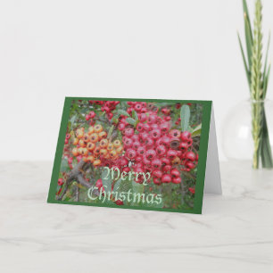 Red Berries Christmas Card