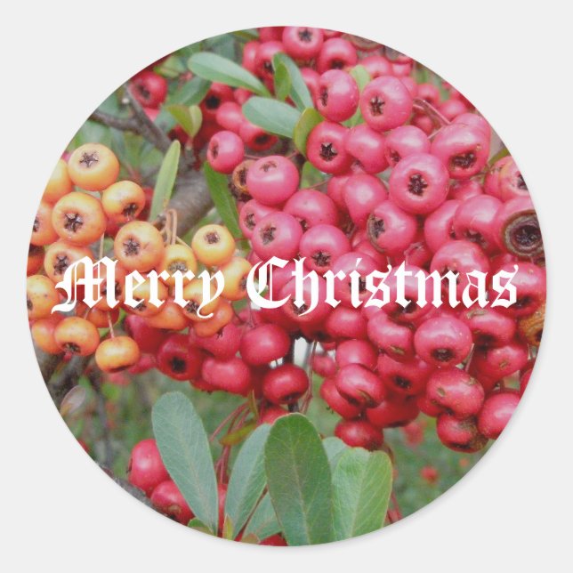 Red Berries Christmas Stickers (Front)