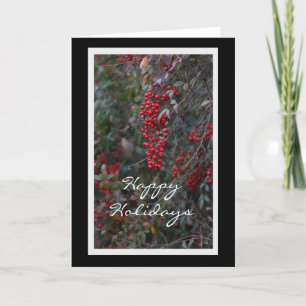 Red berries Happy Holidays Holiday Card