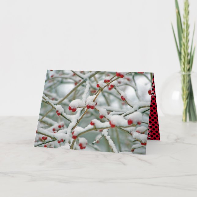 Red Berries in the Snow Christmas Card (Front)