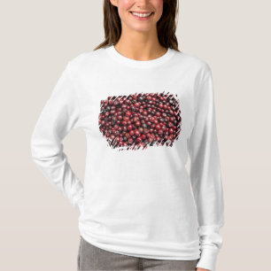 Red berries of the Himalayas T-Shirt
