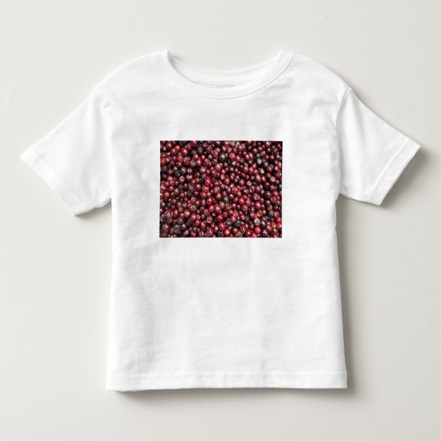 Red berries of the Himalayas Toddler T-Shirt (Front)