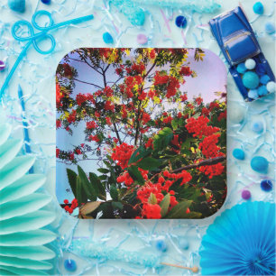 Red berries paper plate