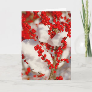 Red Berries Snow Photo Christmas Xmas Holiday Card