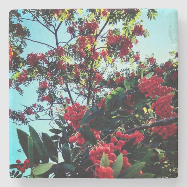 Red berries stone coaster (Front)