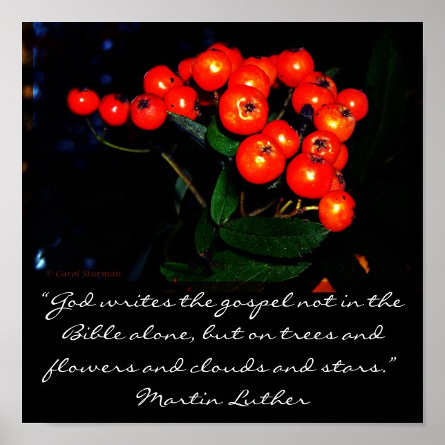Red berries with Martin Luther quote print (Front)