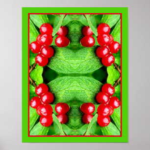 Red Berries With Raindrops Mirror Abstract Nature Poster